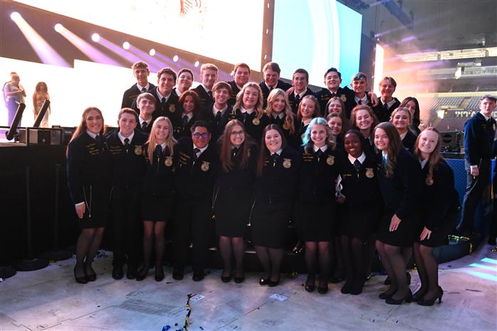 HyperLink